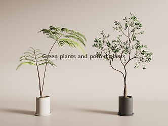 Modern Potted Plant Green Plant Potted Plant Green Plant 3d model