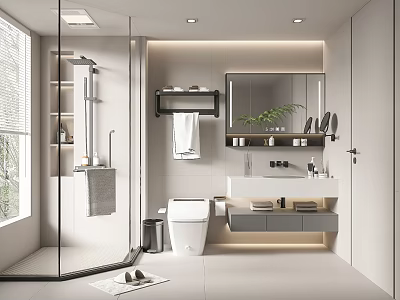 Modern Bathroom Interior Design With Glass Partition Shower Area Vanity Mirror And Green Plant 3d model