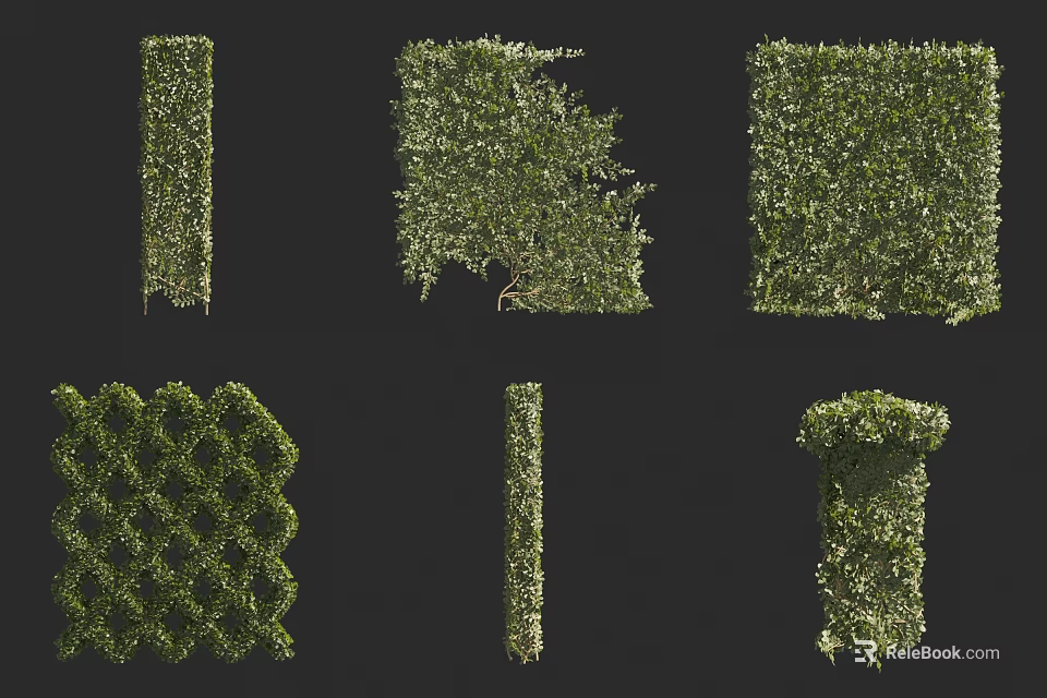 Living Plant Wall With Various Decorative Green Structures And Shapes For Indoor Outdoor Decor 3d model 