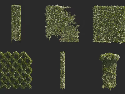 Living Plant Wall With Various Decorative Green Structures And Shapes For Indoor Outdoor Decor 3d model