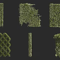 Living Plant Wall With Various Decorative Green Structures And Shapes For Indoor Outdoor Decor