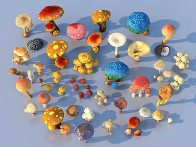 Colorful Different Types Of Mushrooms With Various Shapes Sizes And Vibrant Hues 3d model