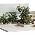 Modern Garden Landscape Featuring Layered Stone Steps Elevated Platforms Lush Green Plants and White Walls
