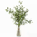 Transparent Glass Vases With Various Green Foliage And Natural Plants For Modern Home Decor