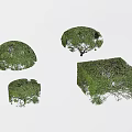 Different Shaped Arbor Trees Displaying Various Canopy Structures And Green Foliage 3d model