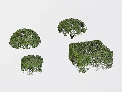 Plants Green Planting Landscape Trees Shrub Modeling Trees Pruning Trees 3d model