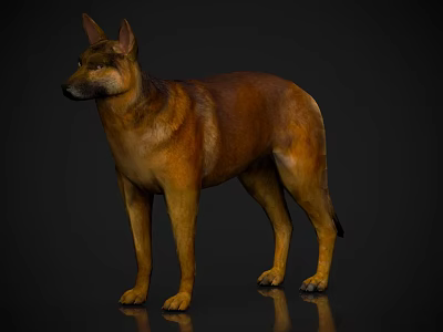 Brown Scaled Reptile Lizard Standing On Black Background With Glossy Skin Texture 3d model