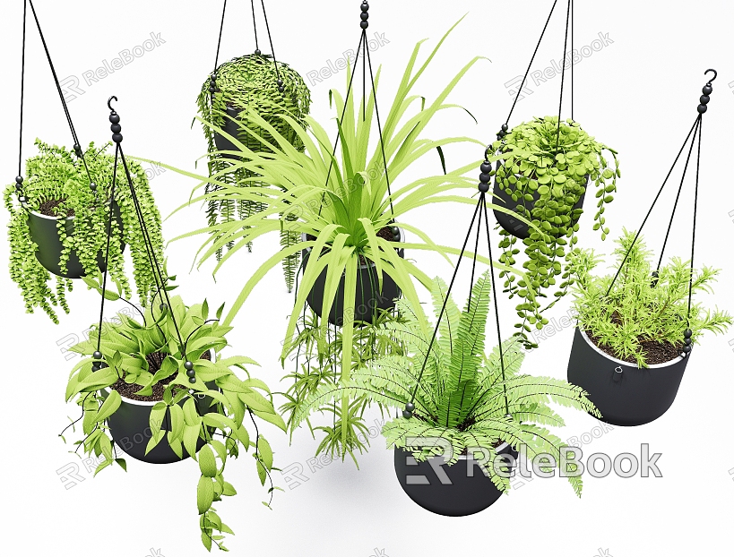 Hanging Basket Plant Vine Man Plant Hanging Bonsai Plant Garden Plant Commonly Used Potted Plant model