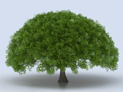 Ball Willow Willow Tree Landscape Tree Tree Tree Big Tree Dragon Claw Tree 3d model