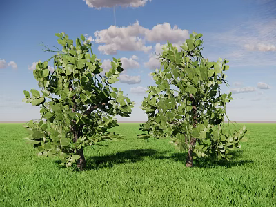 Green Leafy Shrubs Growing On Lush Green Grassland Under Blue Sky With White Clouds 3d model