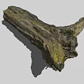 Stone Wood Log Featuring Weathered Texture Irregular Shape and Rough Surface 3d model