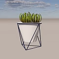 Modern Potted Plant With Green Pointed Leaves In White Conical Pot And Blue Metal Frame