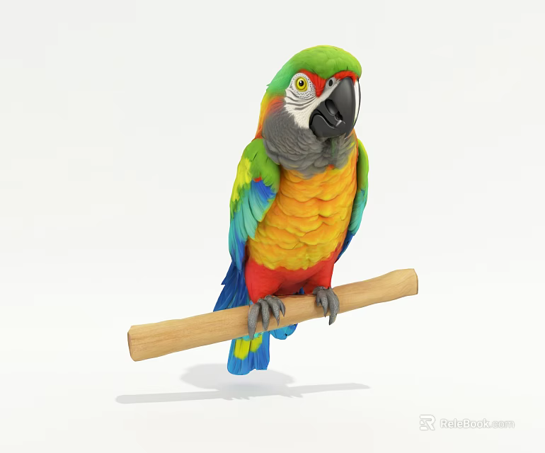 Vibrant Tropical Parrot with Colorful Feathers Perched on Wooden Branch Isolated on White 3d model 