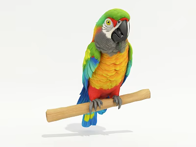 Vibrant Tropical Parrot with Colorful Feathers Perched on Wooden Branch Isolated on White 3d model