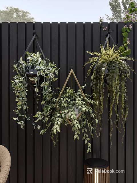 Hanging Basket Plants with Various Trailing Leaves on Dark Wooden Plank Wall Indoor Green Decor 3d model 