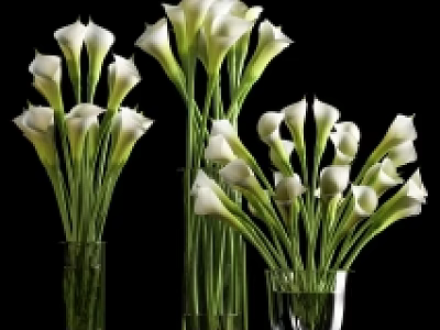 Elegant White Calla Lily Bouquets In Clear Glass Vases With Green Stems And Fresh Blooms 3d model