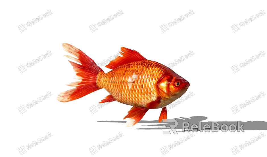 modern fish animal goldfish model