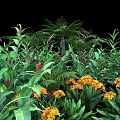 Lush Green Shrubs With Vibrant Yellow Flowers And Natural Rocks In Garden