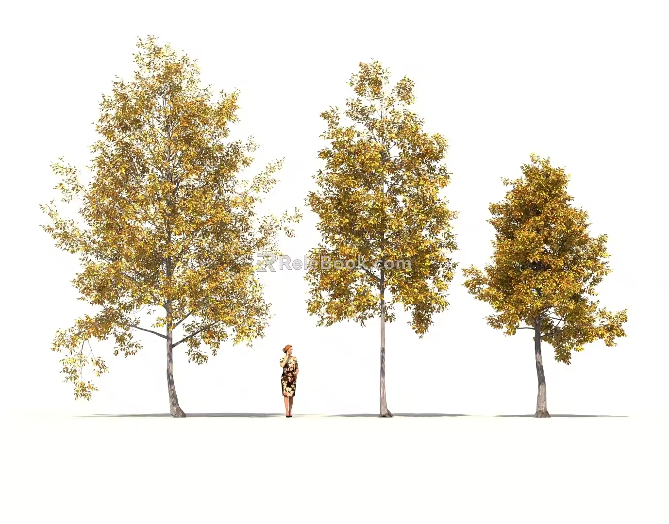 Autumn Trees Garden Greening Trees Big Trees Old Trees 3d model