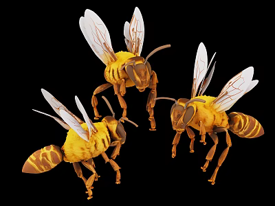 Three Yellow Brown Bees with Transparent Wings Hovering in Black Background 3d model