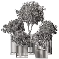 Bonsai Potted Plants With Various Green Foliage In Black Decorative Containers
