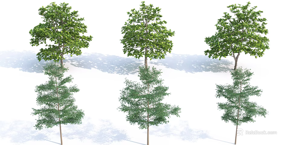 Various Types of Trees with Green Leaves and Different Shapes in Natural Scene 3d model 
