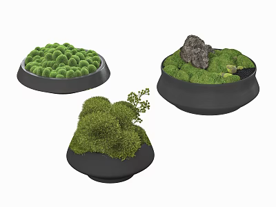 Small Green Moss Plant Decorative Landscapes In Black Containers With Stone 3d model