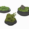 Small Green Moss Plant Decorative Landscapes In Black Containers With Stone