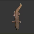 Brown Gecko With Long Body Visible Eyes And Small Limbs On Gray Gradient Background