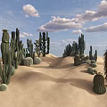 Various Shaped Succulent Cacti Growing in Sandy Desert with Blue Sky and White Clouds