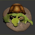 Modern Turtle Cartoon Turtle Snapping Turtle 3d model