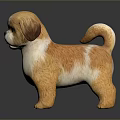 Brown And White Puppy Figurine With Shaggy Fur In Standing Pose On Dark Glossy Surface