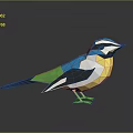 Colorful Low Poly Bird with Blue Green Yellow Feathers Standing on Black Surface with Reflection