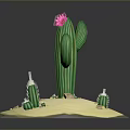 Green Cactus with Pink Flower on Sandy Ground Surrounded by Small Cacti