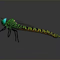 Green Headed Dragonfly With Yellow Green Striped Body And Transparent Wings On Dark Background