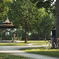 Garden Landscape With Tall Trees Person Leaning Against Tree Bicycle And Sunlit Pavilion Path
