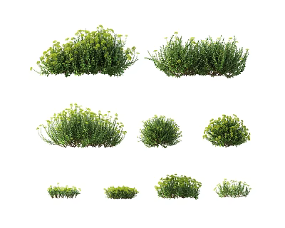 Different Green Herb Plant Varieties With Various Shapes And Foliage Types 3d model
