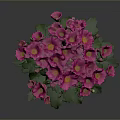 Tall Green Stem Plant With Lush Leaves And Pink Flowers