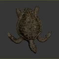Sea Turtle With Detailed Shell Texture And Extended Limbs On Gray Background 3d model