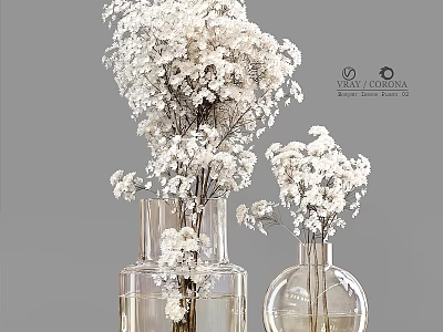 Decorative Ornament Set With White Dried Flowers In Transparent Glass Vases 3d model