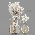 Decorative Ornament Set With White Dried Flowers In Transparent Glass Vases