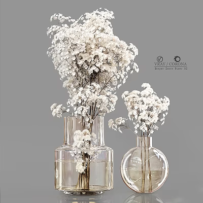 Decorative Ornament Set With White Dried Flowers In Transparent Glass Vases 3d model