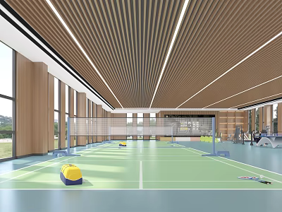Modern Indoor Badminton Court With Green Surface And Wooden Ceiling Design 3d model