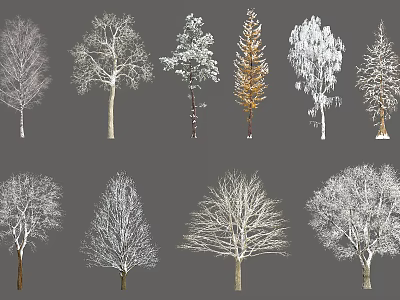 Various Types Of Arbor Trees With Different Shapes And Snow Covered Branches 3d model