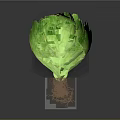 Fresh Green Lettuce With Visible Roots On Dark Background For Healthy Diet