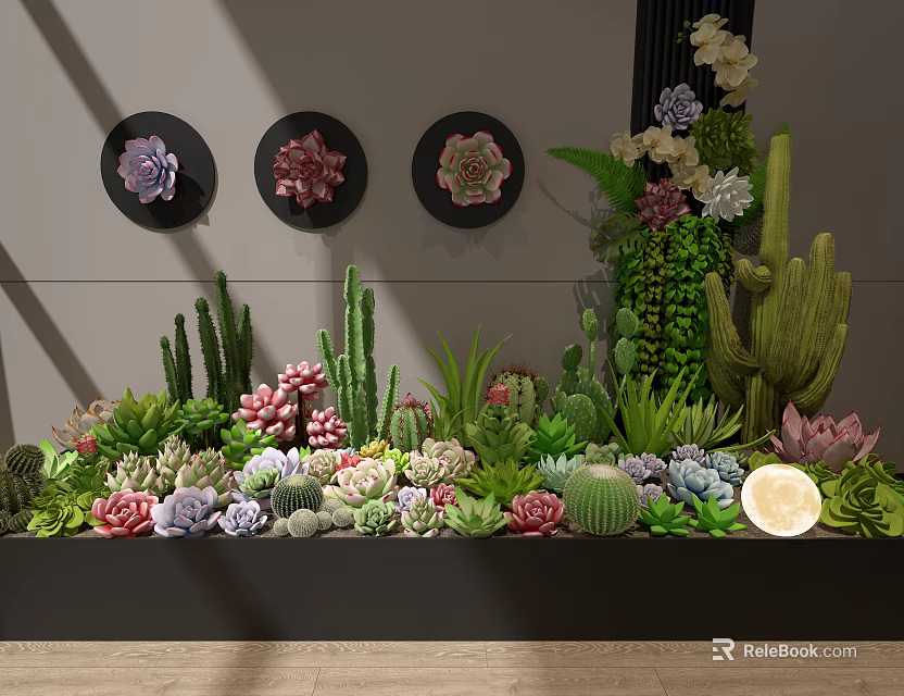 Lush Garden With Various Succulents Cacti Decorative Plates And Fresh Lemon 3d model 