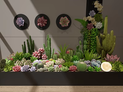 Lush Garden With Various Succulents Cacti Decorative Plates And Fresh Lemon 3d model