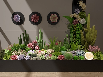 Fleshy Cactus Indoor Greening 3d model