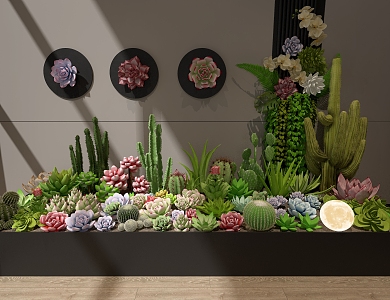 Fleshy Cactus Indoor Greening 3d model