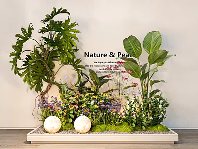 Bonsai Potted Plants Display With Large Leaves Small Flowers White Spherical Decorations Nature Peace Theme 3d model